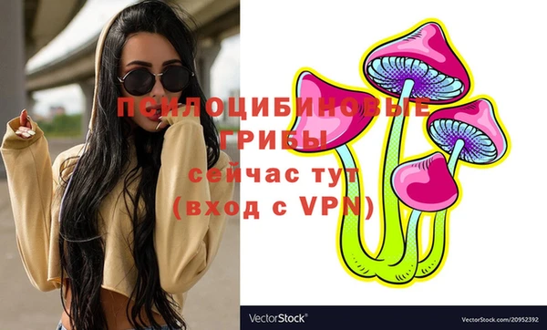 соль курить ск Нязепетровск